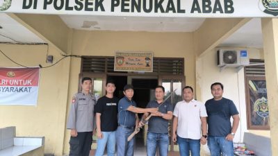 Polsek Penukal Abab, Terima Senpi Rakitan Laras Panjang (Kecepek) dari Warga Penukal dan Abab