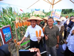 Sumsel Raih Apresiasi Kementan atas Inovasi Padi Apung dan Gerakan Mandiri Benih