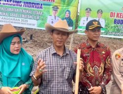 Kades Kota Baru Tanam Jagung Bersama, Dorong Sinergi Menuju Swasembada Pangan