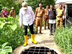 Respons Cepat Laporan Warga, Ratu Dewa Cek Jalan Rusak di Palembang