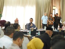 Bupati OKI Suarakan Kesejahteraan Guru PPPK Paruh Waktu ke Komisi X DPR RI