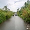 Jalan Provinsi PALI–Musi Banyuasin Tertutup Semak, Warga Gunung Menang Minta Segera Dibereskan