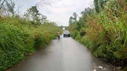 Jalan Provinsi PALI–Musi Banyuasin Tertutup Semak, Warga Gunung Menang Minta Segera Dibereskan