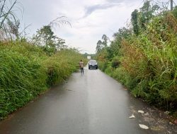 Jalan Provinsi PALI–Musi Banyuasin Tertutup Semak, Warga Gunung Menang Minta Segera Dibereskan