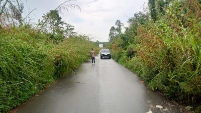 Jalan Provinsi PALI–Musi Banyuasin Tertutup Semak, Warga Gunung Menang Minta Segera Dibereskan