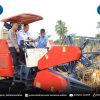 Sinergi Pemprov Sumsel dan Polda: Panen Raya Jagung OKU Selatan Tembus Rekor Baru!