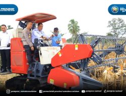 Sinergi Pemprov Sumsel dan Polda: Panen Raya Jagung OKU Selatan Tembus Rekor Baru!