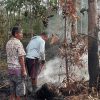 Gotong Royong Warga dan Gerak Cepat Kades Padamkan Kebakaran Kebun Karet di Betung Selatan