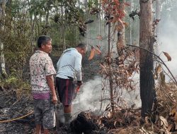 Gotong Royong Warga dan Gerak Cepat Kades Padamkan Kebakaran Kebun Karet di Betung Selatan