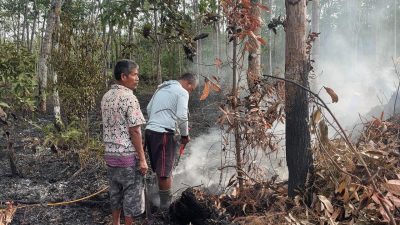 Gotong Royong Warga dan Gerak Cepat Kades Padamkan Kebakaran Kebun Karet di Betung Selatan