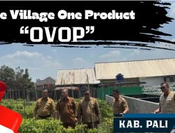 Dorong Ekonomi Rakyat, Dua Wilayah di PALI Siap Menjadi Sentra Produk Unggulan “OVOP” Satu Desa Satu Produk