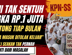 Dipaksa Jadi Anggota Koperasi KPN Serepat Serasan Puluhan PPPK Paruh Waktu di PALI Keluhkan Pemotongan Gaji: “Mirip Pemerasan, Keluar Ditolak”